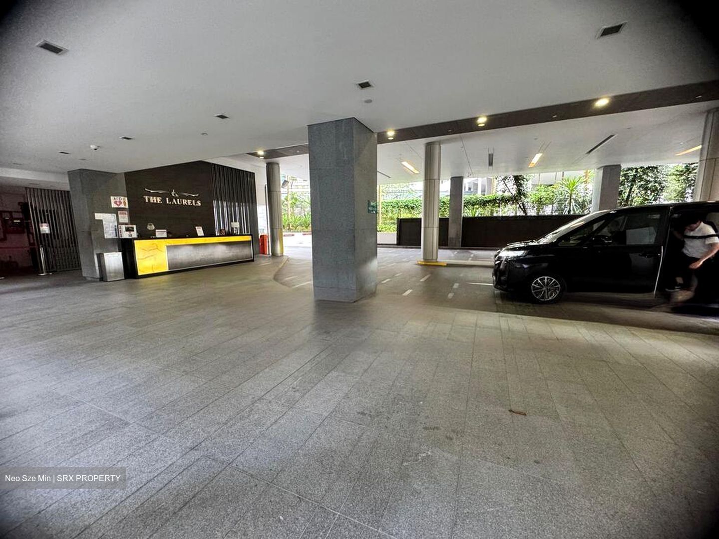 The Laurels (D9), Condominium #447446061